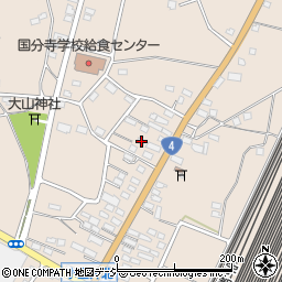 栃木県下野市小金井2895周辺の地図