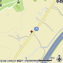 栃木県栃木市小野口町497周辺の地図