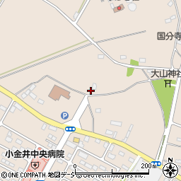 栃木県下野市小金井1109周辺の地図
