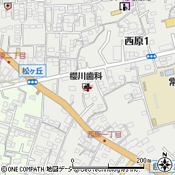 桜川歯科医院周辺の地図