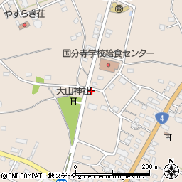 栃木県下野市小金井1170周辺の地図