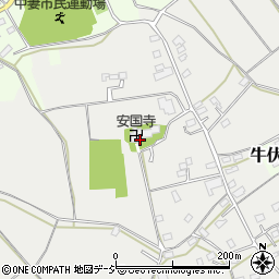 安国寺周辺の地図