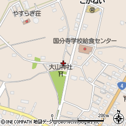 栃木県下野市小金井1206周辺の地図