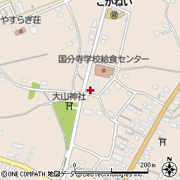 栃木県下野市小金井1209周辺の地図