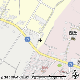 長野県上田市林之郷83周辺の地図