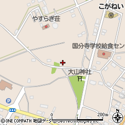 栃木県下野市小金井1176-3周辺の地図