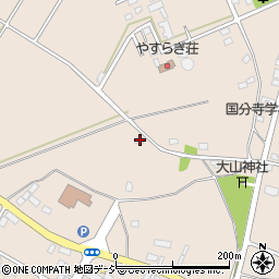 栃木県下野市小金井1111周辺の地図