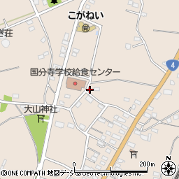 栃木県下野市小金井1233周辺の地図