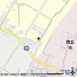 長野県上田市林之郷88周辺の地図