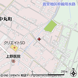 茨城県水戸市中丸町203-1周辺の地図
