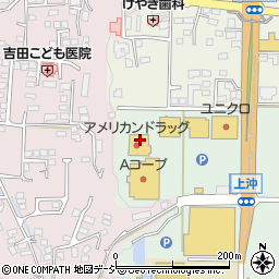 長野県上田市国分80周辺の地図