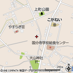 栃木県下野市小金井1103周辺の地図