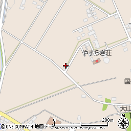 栃木県下野市小金井1038周辺の地図