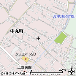 茨城県水戸市中丸町198周辺の地図