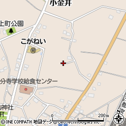 栃木県下野市小金井1242周辺の地図