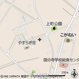 栃木県下野市小金井1195周辺の地図