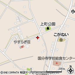 栃木県下野市小金井1202周辺の地図
