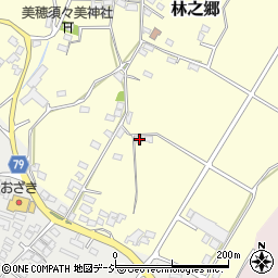 長野県上田市林之郷96周辺の地図