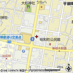 カラオケ館 栃木昭和町店周辺の地図
