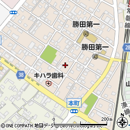茨城県ひたちなか市勝田本町20周辺の地図