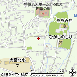 栃木県栃木市大宮町1794周辺の地図