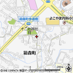 栃木県栃木市箱森町周辺の地図