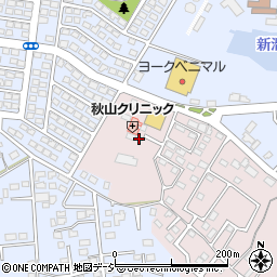 茨城県水戸市中丸町608-11周辺の地図
