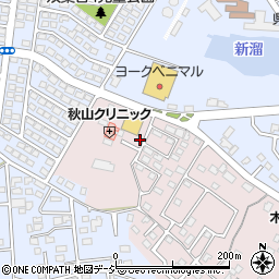 茨城県水戸市中丸町608-7周辺の地図