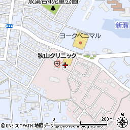 茨城県水戸市中丸町608-9周辺の地図