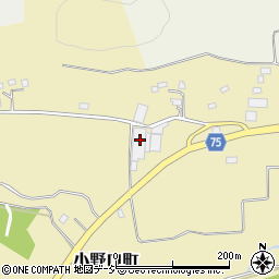 栃木県栃木市小野口町146周辺の地図