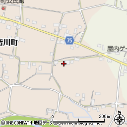 栃木県栃木市大皆川町321周辺の地図