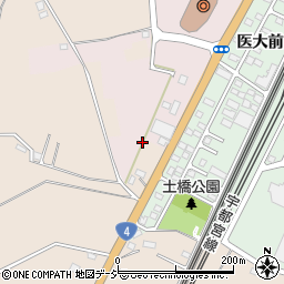 栃木県下野市小金井263-2周辺の地図