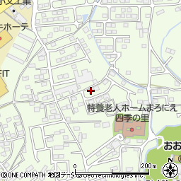 栃木県栃木市大宮町2007周辺の地図