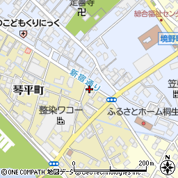 群馬県桐生市琴平町5-2周辺の地図