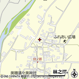 長野県上田市林之郷265周辺の地図