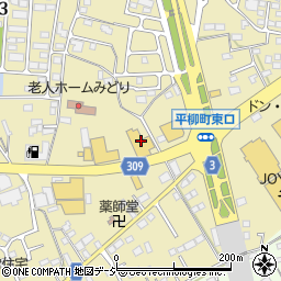 ネッツトヨタ栃木栃木店周辺の地図