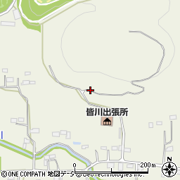栃木県栃木市皆川城内町周辺の地図