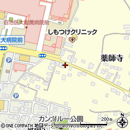 株式会社柳田商会　下野市営業所周辺の地図