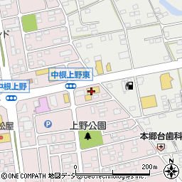 トヨタカローラ新茨城　勝田昭和通り店周辺の地図