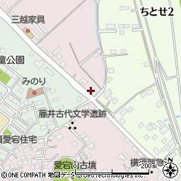茨城県水戸市愛宕町2298周辺の地図