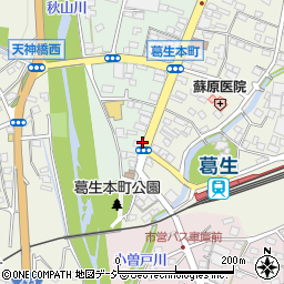 葛生駅入口周辺の地図