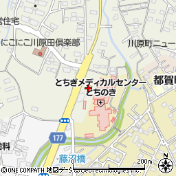 セブンイレブン栃木川原田町店周辺の地図