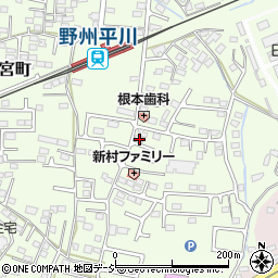 栃木県栃木市大宮町2136-9周辺の地図