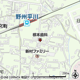 栃木県栃木市大宮町2136周辺の地図