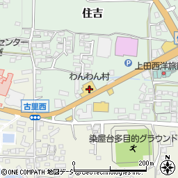 長野県上田市住吉125周辺の地図