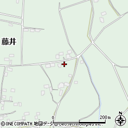 栃木県下都賀郡壬生町藤井176-2周辺の地図