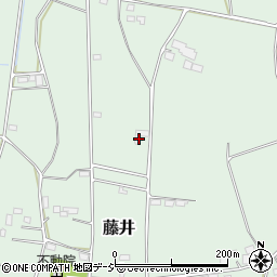 栃木県下都賀郡壬生町藤井242-8周辺の地図