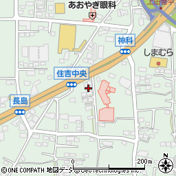 長野県上田市住吉310-2周辺の地図