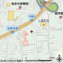 長野県上田市住吉319-2周辺の地図