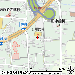 長野県上田市住吉339-5周辺の地図